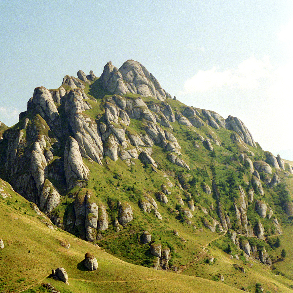 Ciucas