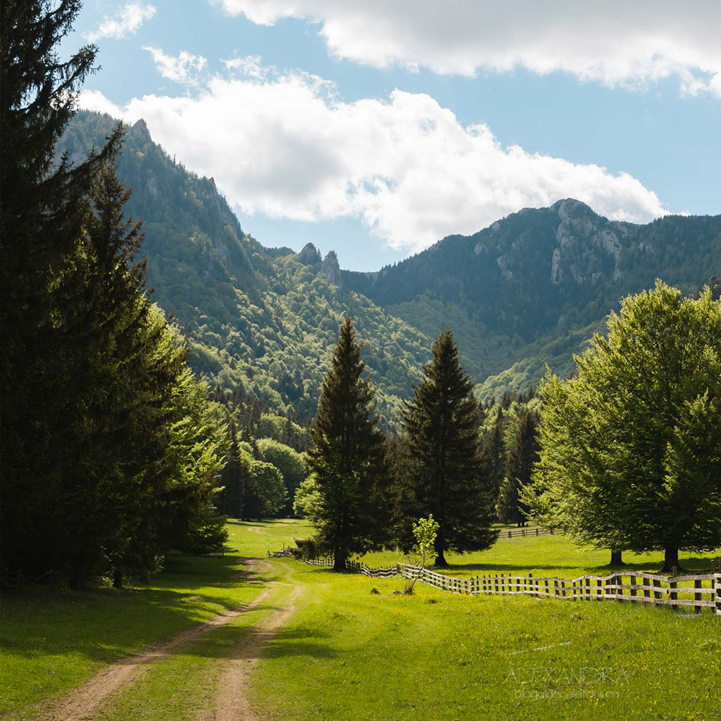 Valea Stânii