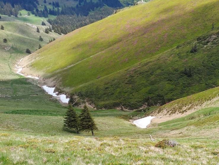 Valea Stânii