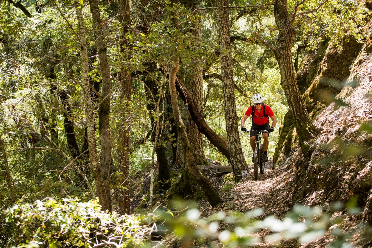 Închiriere biciclete — Hotel Floris